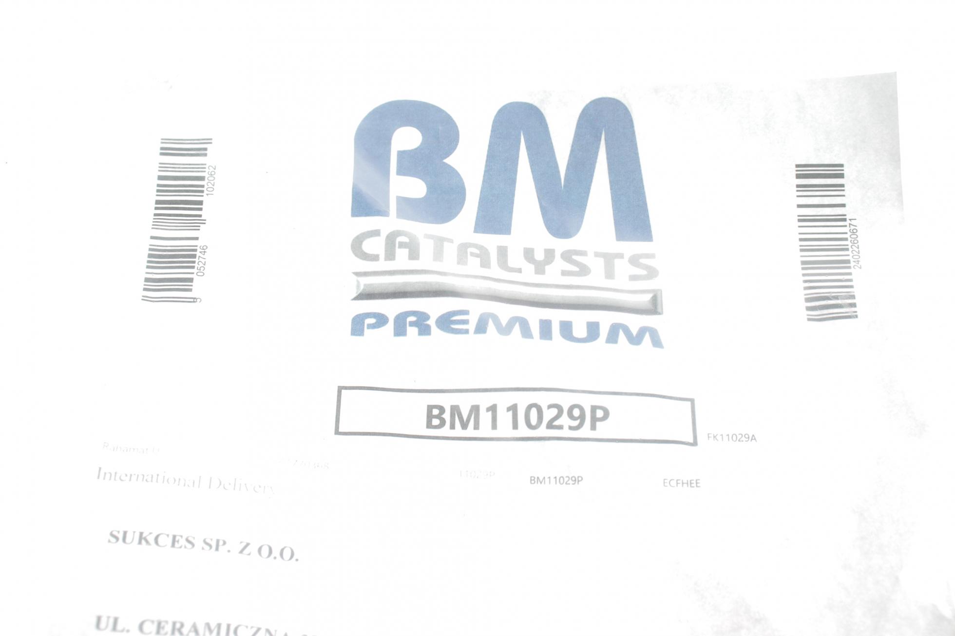 BM11029P BM CATALYSTS